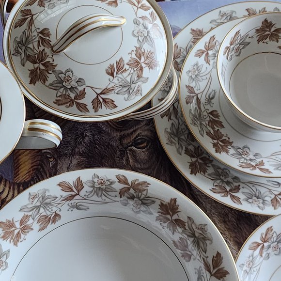 FINE CHINA 70 PC SET